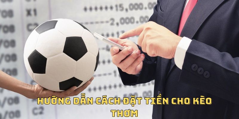 Hướng dẫn cách đặt tiền cho kèo thơm 