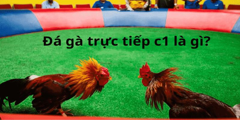 Giới thiệu xem trực tiếp đá gà C1